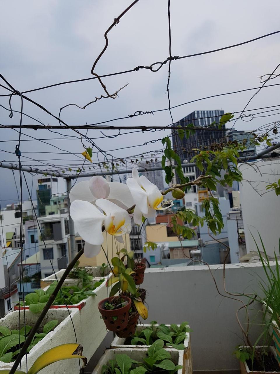 Апартаменты Urban House Saigon 2 Хошимин Экстерьер фото